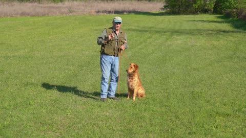 How to get crisp, fast, precise whistle stops w Bill Hillmann (and avoid the loopy sit)