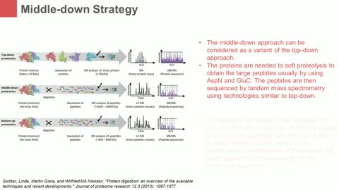 Strategies for Post Translational Modifications (PTMs)