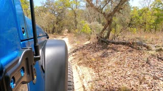 A Fun Day in Citrus Wildlife Management Area