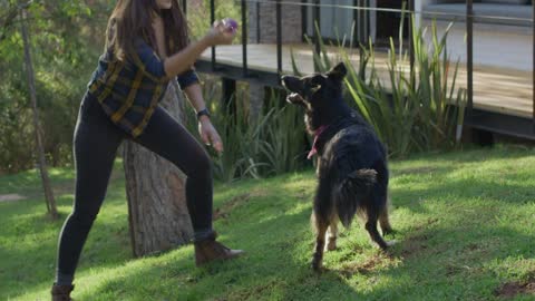 Woman playing ball with a dog