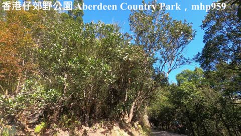 [郊野樂行] 香港仔郊野公園（加長版）Aberdeen Country Park，Hongkong (Extended Version), mhp959, Dec 2020