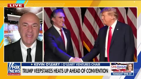 'GET IT DONE GUY': Kevin O'Leary throws support behind Trump VP contender