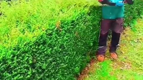 Satisfying Garden Work