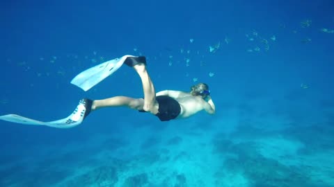 BEST SNORKELING IN THE WORLD