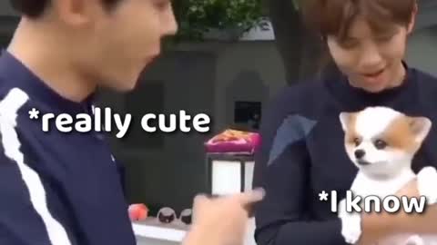 soo cute bts with dogs