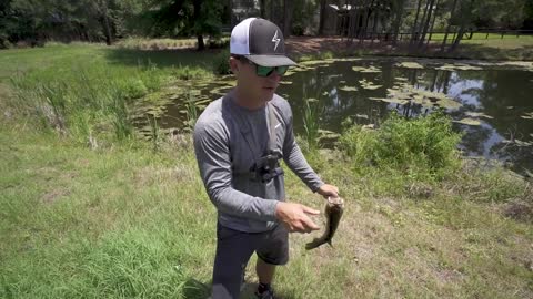 Fishing FROGS in PONDS - I MESSED UP...(Bank Fishing)