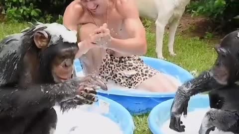 Monkeys , dog and the man are taking shower🦧🐕‍🦺