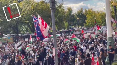 Miles de manifestantes en Washington exigen un alto el fuego en Gaza