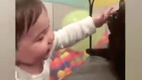 Cute baby playing with animal #shorts #cute baby# #cool baby#