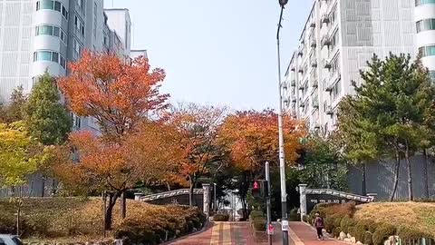 Clear autumn sky in Korea