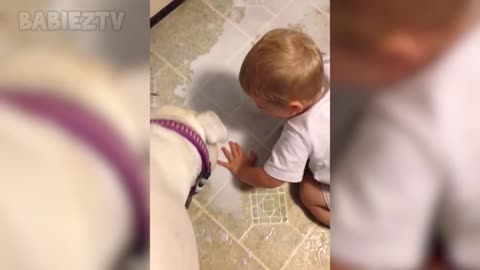 Bébé mignon jouant à avec des chiens et des chats