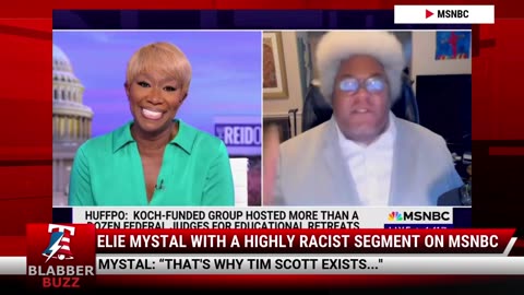 Elie Mystal With A Highly Racist Segment On MSNBC