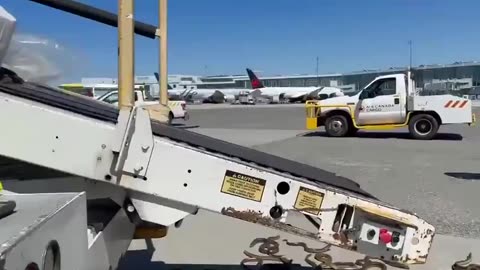 Yesterday at Vancouver International Airport in Canada, a box containing snakes