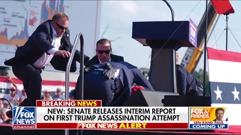 Inexperienced USSS agent called toll-free number for help at Trump rally: Report