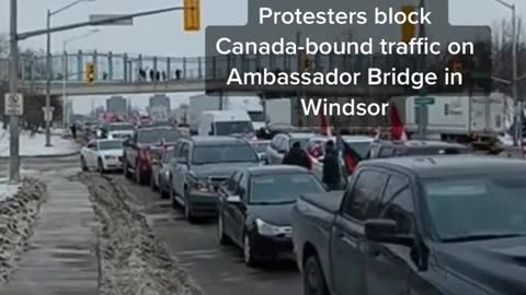 Windsor, Ontario Freedom convoy blockade bridge (Feb 7, 2022)