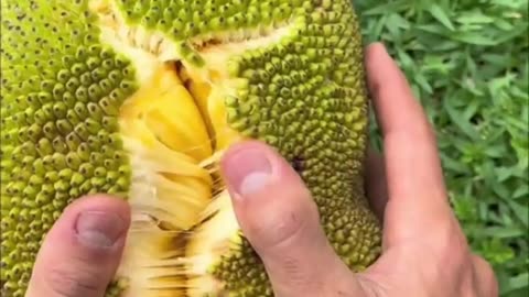 Amazing Fruits And Vegetables Collection 🤤