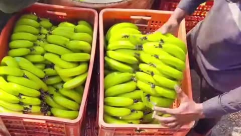 Amazing Vegetable And Fruit Farming Compilation 😋