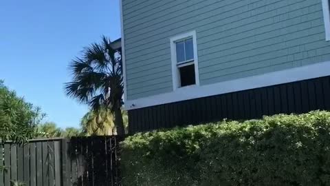 Guy tossing drink to window before jumping in pool