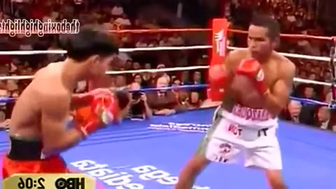 boxing latest fight video Compilation part 3