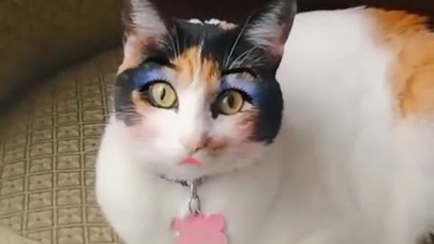 🐱🐱El maquillaje de Melina🐱🐱