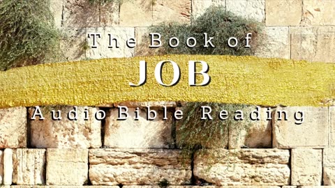 Book of Job KJV