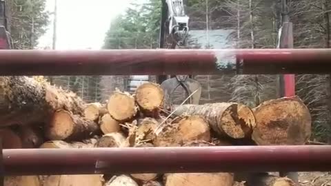 Loading logs