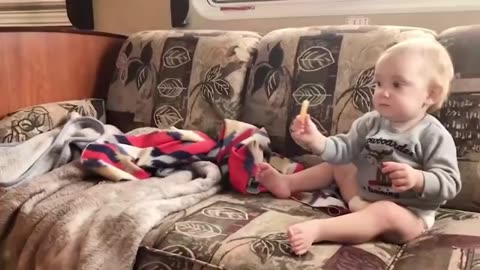 Best Funny Baby Videos- Funny Babies in Kitchen 😍