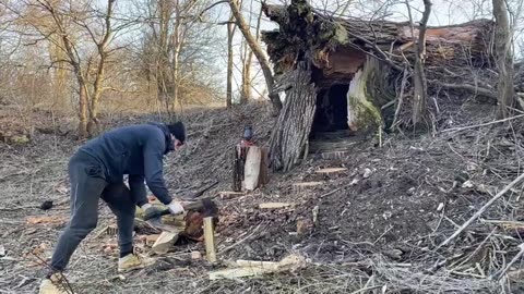 Building a secret shelter inside a fallen tree near a mystical lake