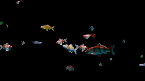 Fish Aquarium Fish Tank Animals Swim Underwater