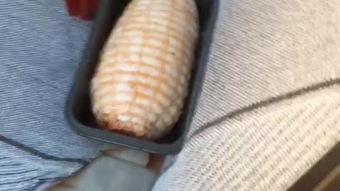 Cooking a Pork Roast in a Car