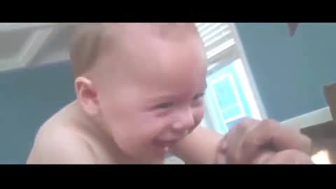 funny baby videos compilation