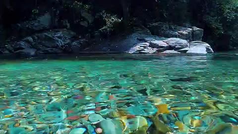 Beautiful Underwater