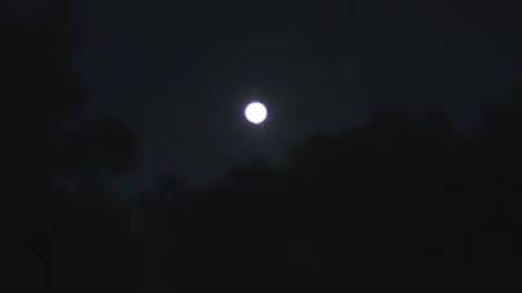 The Moon