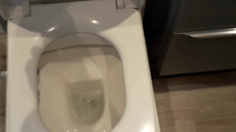 Faulty toilet seat