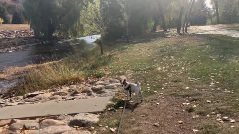 Nice fall day for a walk at the park.