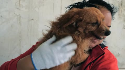 volunteer holds on hands little dog in shelter. Shelter for animals concept