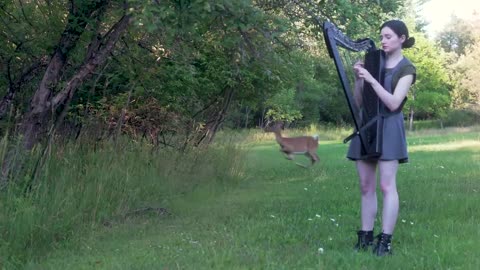 A deer turned my harp session || Women plays music for fascinated wild deer