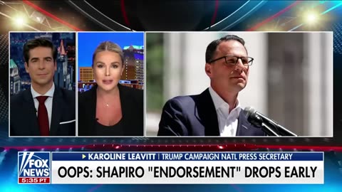 Karoline Leavitt: People need to know this about potential Harris running mate