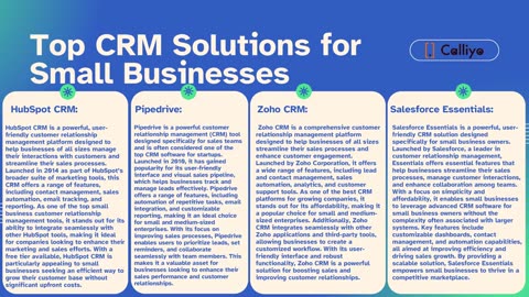 Best crm system for small business - calliyo