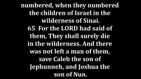 Numbers 26 King James version