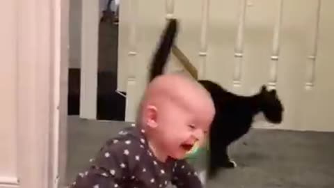 Cute Baby 🙈🤣🤣🤣#shorts #tiktok #trending #baby #cat #cats