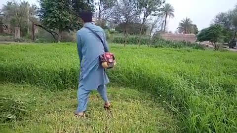 Grass- Cutting- Machine