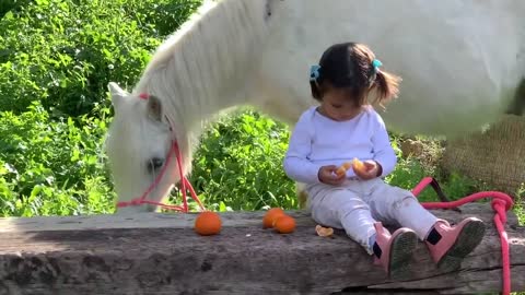 Little Baby Girl Ride on her Little Horse