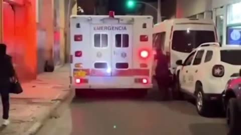 Ambulance was carrying the dog's owner