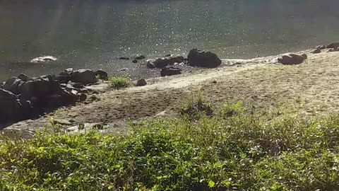 19.8.2024 The Barron River Kuranda (2)