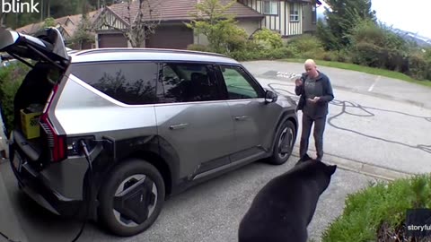 A Man Came Face To Face With a Black Bear in His Garage