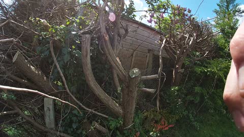 CHAINSAW TIME-LAPSE