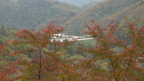 Beautiful autumn scenery of Korea 10