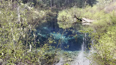 Is This Lake Sponsored by Blue Raspberry Gatorade? – Great Springs – Clear Lake – 4K