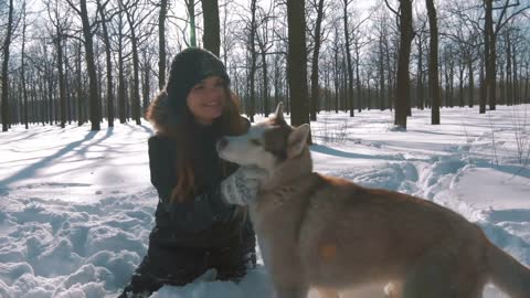 Young woman sitting and patting siberian husky dogs in snow forest